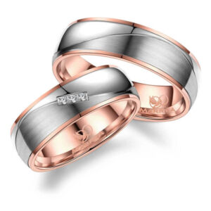 Trouwringen Partnerringen Titanium TI-25